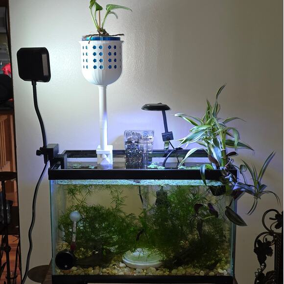 Aqua Hydroponic Aquarium Wicking Pot Planted House Plants Variable Height Tubes - Picture 1 of 16